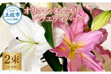 オリエンタルユリ バラエティパック 2束(1束3～4本 15輪以上) 花 はな 花束 生花 ゆり ユリ 百合 蕾 つぼみ 鑑賞 鑑賞用 白 大きく 咲く 大きい 詰め合わせ プレゼント 贈り物 国産
