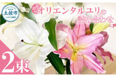 訳あり オリエンタルユリの詰め合わせ 2束(1束4～6本 15輪以上) 花 はな 花束 生花 ゆり 百合 蕾 つぼみ 鑑賞 鑑賞用 白百合 白ゆり 白ユリ 詰め合わせ 国産 家庭用 ご自宅用