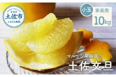 マルツジ果樹園の土佐文旦 家庭用(小玉) 約10㎏ 10キロ M~Lサイズ 24~34個入り ぶんたん ブンタン フルーツ 柑橘 みかん 果物 くだもの 柑橘類 デザート お取り寄せ 国産