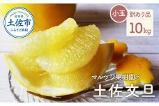 マルツジ果樹園の土佐文旦 訳あり品(小玉) 約10キロ 10kg M~Lサイズ 24~34個入り ぶんたん ブンタン フルーツ 柑橘 みかん 果物 くだもの 柑橘類 デザート ご自宅用 ご家庭用 国産