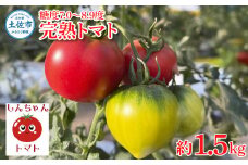 完熟トマト しんちゃんトマト 約1.5kg(750g×2箱) 糖度7.0～8.9度 約1.5キロ とまと トマト 野菜 やさい 料理 サラダ マリネ 甘味 酸味 食品 食べ物 おいしい お取り寄せ