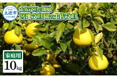 土佐文旦の創始 宮地文旦園の土佐文旦 家庭用2L 約10キロ 20~22個入り 10kg ぶんたん ブンタン フルーツ 柑橘 みかん 果物 くだもの 柑橘類 デザート プレゼント ギフト 贈り物