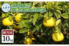 土佐文旦の創始 宮地文旦園の土佐文旦 贈答用2L 約10キロ 20~22個入り 10kg ぶんたん ブンタン フルーツ 柑橘 みかん 果物 くだもの 柑橘類 デザート プレゼント ギフト 贈り物