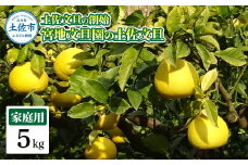 土佐文旦の創始 宮地文旦園の土佐文旦 家庭用2L 約5キロ 10~12個入り 5kg ぶんたん ブンタン フルーツ 柑橘 みかん 果物 くだもの 柑橘類 デザート プレゼント ギフト 贈り物