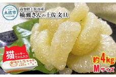 【先行予約】楠瀬さん土佐文旦 約4kg Mサイズ 猫ムッキーちゃん入り 12玉前後 ぶんたん ブンタン フルーツ 柑橘 みかん 果物 くだもの 柑橘類 デザート 贈答用 プレゼント ギフト 家庭用 国産