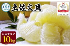 【日本ギフト大賞2024受賞】園主こだわりミニチュア土佐文旦ぶんたん 10kg 32~40玉 超小玉土佐文旦 ブンタン フルーツ 柑橘 果物 柑橘類 デザート プレゼント ギフト 贈り物 国産