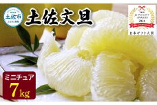 【日本ギフト大賞2024受賞】園主こだわりミニチュア土佐文旦ぶんたん 7kg 23~28玉 超小玉土佐文旦 ブンタン フルーツ 柑橘 みかん 果物 柑橘類 デザート プレゼント ギフト 贈り物 国産