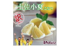 ＜果樹園直送＞ 土佐小夏 訳ありご家庭用 約5kg 5キロ こなつ 柑橘 かんきつ 柑橘類 フルーツ 果物 くだもの 果実 デザート おやつ ジュース ジャム 美味しい ご自宅用 訳アリ