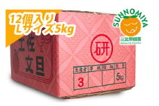 三宮果樹園の土佐文旦 ご家庭用Lサイズ 5kg ぶんたん ブンタン 5キロ フルーツ 柑橘 みかん 果物 くだもの 柑橘類 デザート ご自宅用 ご家庭用 自分用 お取り寄せ おいしい 国産