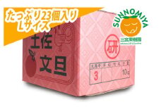 三宮果樹園の土佐文旦 ご家庭用Lサイズ 10kg ぶんたん ブンタン 10キロ フルーツ 柑橘 みかん 果物 くだもの 柑橘類 デザート ご自宅用 ご家庭用 自分用 お取り寄せ おいしい 国産