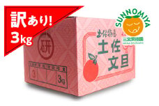 三宮果樹園の土佐文旦 訳あり 3kg ぶんたん ブンタン 3キロ 6玉前後 フルーツ 柑橘 みかん 果物 くだもの 柑橘類 デザート ご自宅用 ご家庭用 自分用 お取り寄せ わけあり 国産