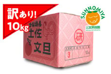 三宮果樹園の土佐文旦 訳あり 10kg ぶんたん ブンタン 10キロ 20玉前後 フルーツ 柑橘 みかん 果物 くだもの 柑橘類 デザート ご自宅用 ご家庭用 自分用 お取り寄せ わけあり 国産