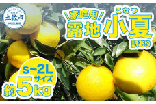 露地小夏 約5kg 小夏 訳あり 家庭用 S~2Lサイズ こなつ 糖度13度以上 5キロ フルーツ 果物 デザート 柑橘 お取り寄せ おいしい 美味しい 減農薬 ご自宅用