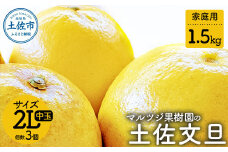 【先行予約】マルツジ果樹園の土佐文旦 家庭用(中玉) 約1.5kg 1.5キロ 2Lサイズ 3個入り ぶんたん ブンタン フルーツ 柑橘 みかん 果物 くだもの 柑橘類 デザート ご自宅用 ご家庭用 お取り寄せ 国産