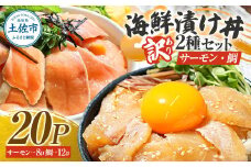 訳あり 海鮮漬け丼 タイ12P・サーモン8Pセット 1袋60g 真鯛 タイ サーモン 詰め合わせ お茶漬け 醤油 漬け 食べ比べ おつまみ 惣菜 鯛茶漬け 魚介類 海鮮 新鮮 天然 美味しい 活き締め 冷凍 配送