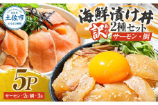 訳あり 海鮮漬け丼 タイ3P・サーモン2Pセット 1袋60g 真鯛 タイ サーモン 詰め合わせ お茶漬け 醤油 漬け 食べ比べ おつまみ 惣菜 鯛茶漬け 魚介類 海鮮 新鮮 天然 美味しい 活き締め 冷凍 配送