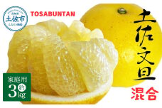 ＜2026年1月下旬より順次発送＞土佐文旦 家庭用 3kg 5~8玉入り L~3Lサイズ混合 先行予約 文旦 ぶんたん ブンタン 柑橘 フルーツ デザート 果物 ご当地 人気 名産 お取り寄せ 土佐 高知 土佐市