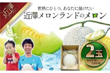 先行予約 メロン ２玉入り（1玉約1.4kg～1.8kg）青肉 2026年夏発送 期間限定 メロン めろん マスクメロン 舐瓜 果物 くだもの フルーツ デザート 旬 ハウス栽培 常温配送
