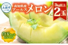 高級土佐アールスメロン2玉入り メロン めろん 白玉セット 白玉×白玉 3kg以上 舐瓜 果物 くだもの フルーツ デザート スイーツ おやつ 高級 常温 配送