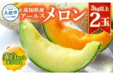 高級土佐アールスメロン2玉入り メロン めろん 赤白セット 赤玉×白玉 3kg以上 舐瓜 果物 くだもの フルーツ デザート スイーツ おやつ 高級 常温 配送