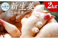 ハウス新生姜 2kg 2キロ しょうが ショウガ 新鮮野菜 野菜 お取り寄せ 美味しい 料理 生姜焼き 漬物 サラダ 新鮮 国産 日本産 ジンジャー 冷蔵 配送