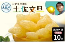 【先行予約】文旦 約10kg 10キロ L～4Lサイズ 土佐文旦 みかん 柑橘 ぶんたん ブンタン 果物 フルーツ デザート おやつ 三愛果樹園の土佐文旦 おいしい 美味しい 規格外品 お取り寄せ 常温 配送