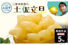 【先行予約】　文旦 約5kg 5キロ L～4Lサイズ 土佐文旦 みかん 柑橘 ぶんたん ブンタン 果物 フルーツ デザート おやつ 三愛果樹園の土佐文旦 おいしい 美味しい 規格外品 お取り寄せ 常温 配送