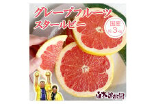 【果樹園直送】先行予約　国産グレープフルーツ　スタールビー　約3kg　果物　柑橘　フルーツ　みかん　高知県土佐市　お取り寄せ 産地直送　白木果樹園