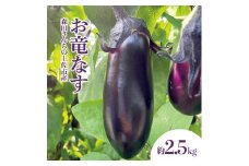 森田さんちの土佐市産お竜なす 約2.5kg 2.5キロ 29~34本 1本約80g 茄子 ナス なすび 野菜 新鮮 焼き茄子 煮浸し 漬物 浅漬け ぬか漬け 味噌汁 おかず 弁当 お取り寄せ 食品