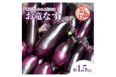 森田さんちの土佐市産お竜なす 訳あり 約1.5kg 1.5キロ 16~21本 1本約80g 茄子 ナス なすび 野菜 新鮮 焼き茄子 煮浸し 漬物 浅漬け ぬか漬け 味噌汁 おかず 訳アリ ご自宅用