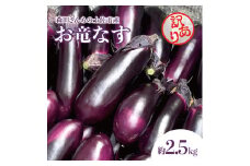 森田さんちの土佐市産お竜なす 訳あり 約2.5kg 2.5キロ 29~34本 1本約80g 茄子 ナス なすび 野菜 新鮮 焼き茄子 煮浸し 漬物 浅漬け ぬか漬け 味噌汁 おかず 訳アリ ご自宅用