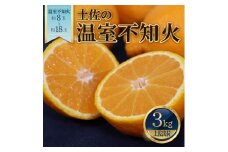 土佐の温室不知火（しらぬい）約3kg みかん 柑橘 フルーツ 果物 美味しい おいしい 常温 故郷納税 ふるさとのうぜい 返礼品 高知県 高知