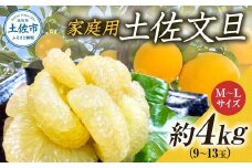 文旦 約4kg M~Lサイズ 9~13玉 ぶんたん ブンタン フルーツ 柑橘 みかん 果物 くだもの 柑橘類 デザート 家庭用 プレゼント ギフト お取り寄せ 国産 常温 配送