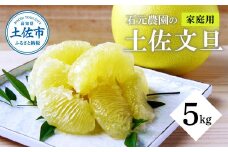 石元農園の土佐文旦 家庭用 約５キロ（７～１２玉） 期間限定 先行予約 土佐文旦 文旦 5kg ブンタン ぶんたん 果物 柑橘 フルーツ 高知県産 土佐市産 家庭用 傷 汚れ 美味しい おいしい