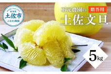石元農園の土佐文旦　贈答用　約５キロ（７～１２玉） 期間限定 先行予約 土佐文旦 文旦 5kg ブンタン ぶんたん 果物 柑橘 フルーツ 高知県産 お取り寄せグルメ ギフト 贈答 贈り物 美味しい