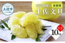 石元農園の土佐文旦 家庭用 大玉 約10キロ 10kg 3Lサイズ 4Lサイズ 文旦 ブンタン ぶんたん 柑橘 かんきつ 柑橘類 みかん フルーツ デザート おやつ 果物 高知 名物 傷 汚れ 家庭用 ご自宅用
