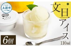 文旦アイス 6個入り 1個110ml ブンタン ぶんたん フルーツ 果物 柑橘 みかん お菓子 おかし おやつ デザート スイーツ ギフト おいしい 爽やか シャーベット お取り寄せ 冷凍 配送