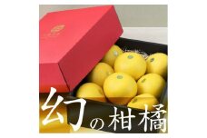  秀品 ☆高知産 土佐文旦☆ ２L ８玉入【贈答用】