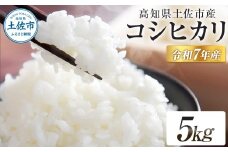 コシヒカリ 令和7年産 5kg 5キロ 精米 白米 お米 ご飯 ごはん 米 kome こめ こしひかり 高知県産 国産 お取り寄せ 常温 高知県 高知 土佐市