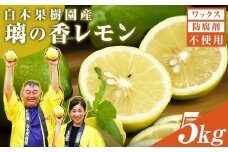 レモン 約5kg 12～25個 璃の香レモン 果物 くだもの 柑橘 フルーツ れもん お取り寄せ 産地直送 おいしい 美味しい 白木果樹園 常温 配送 高知県 高知 土佐市
