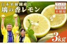 レモン 約3kg 8～15個 璃の香レモン 果物 くだもの 柑橘 フルーツ れもん お取り寄せ 産地直送 おいしい 美味しい 白木果樹園 常温 配送 高知県 高知 土佐市