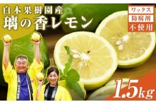 レモン 約1.5kg 4～7個 璃の香レモン 果物 くだもの 柑橘 フルーツ れもん お取り寄せ 産地直送 おいしい 美味しい 白木果樹園 常温 配送 高知県 高知 土佐市