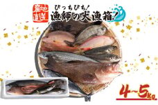 魚 鮮魚 ボックス 4kg～5kg 旬 鮮度 抜群 おまかせ 詰め合わせ 海鮮 魚介 新鮮 高知県 須崎市 MT005