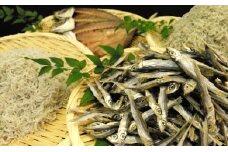 須崎 の 漁師めし ご飯のお供 ボリューム セット 詰め合わせ 3点 (かちりちりめん ･シラス･イワシの丸干し) MS002
