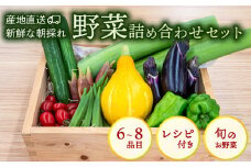 野菜 セット 6 ～ 8品目 詰め合わせ レシピ 付き 産地直送 高知県 須崎市 新鮮野菜  新玉ねぎ そら豆 スナップえんどう 春キャベツ フルーツトマト みょうが ズッキーニ オクラ かぼちゃ すじなし豆 トマト 空心菜 さつま芋 栗 秋豆 ぶしゅかん しょうが 金時しょうが チャーテ キク芋 赤大根 かぶ カリフラワー 芽キャベツ 旬 人気 ふるさと納税野菜 野菜セット
