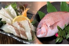 鯛 タイ 刺身 まるごと 1匹分 鮮魚 日本最高峰評価のマダイ ブランド 海援鯛 魚 産地直送 高知県 須崎市