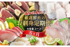 刺身 定期便 6ヶ月 小島水産 がお届けする！ 美味しい お刺身 大容量 コース ( 鮮魚 下処理済 )  産地直送 半年 新鮮 鮮魚 ( 6回 お楽しみ 定期便 お刺身 かつお タタキ カツオ 鰹 鯛 たい 真鯛 タイ 鰤 ぶり ブリ 勘八 カンパチ かんぱち シマアジ 縞鯵 しまあじ 高級魚 海鮮 魚介 頒布会 ) KS28000-3x