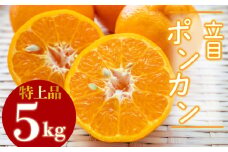 【2025年1月より発送】高知県産 立目ぽんかん 5kg 贈答用 特上品 みかん 須崎市 KJS001_x