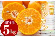 【2025年1月より発送】高知県産 立目ぽんかん 5kg 贈答用 優品 みかん 須崎市 KJS002-xx