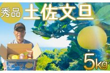 土佐文旦 5kg 良品 【2月中旬より順次配送】【南国の恵み、高知は須崎市から】 高知県産 柑橘 フルーツ 文旦 ぶんたん ブンタン 果物 みかん 蜜柑 柑橘 産地直送 期間限定 季節限定 高知県 須崎市 SN001-x